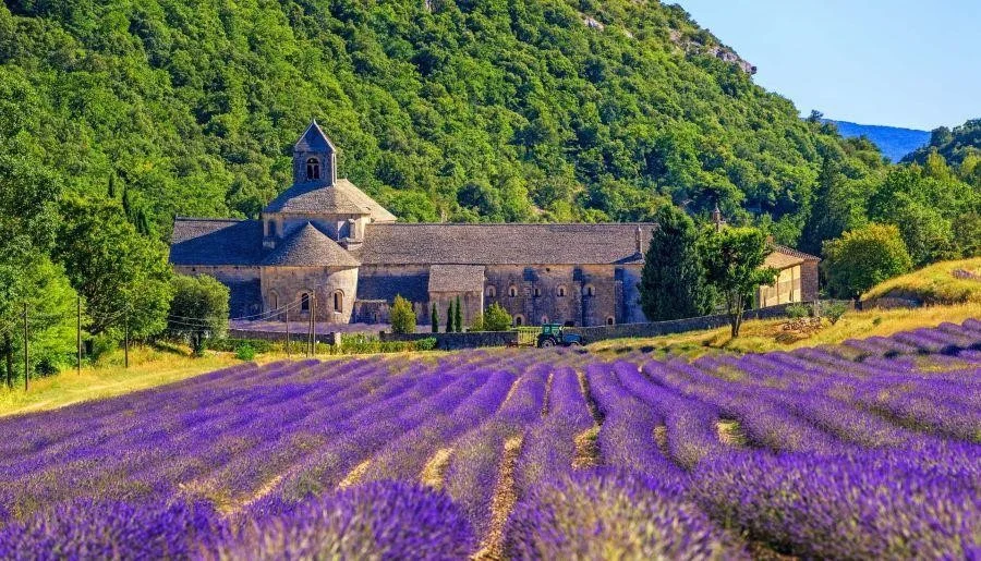 Bức tranh thiên nhiên vô cùng tươi đẹp, nên thơ nhưng cũng rất đỗi bình dị tại Provence 