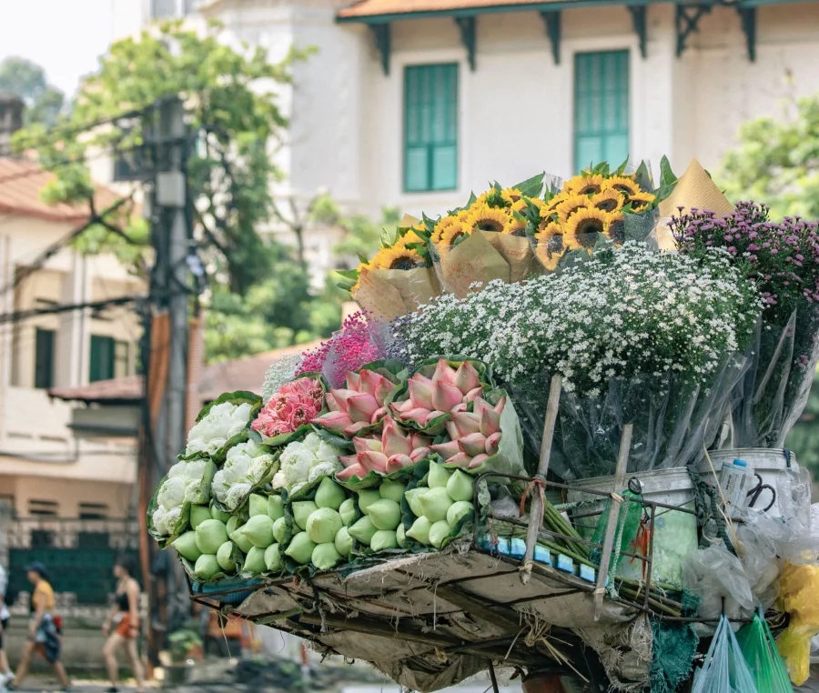 Thu Hà Nội đẹp nao lòng trên những chiếc xe hoa chở mùa qua phố