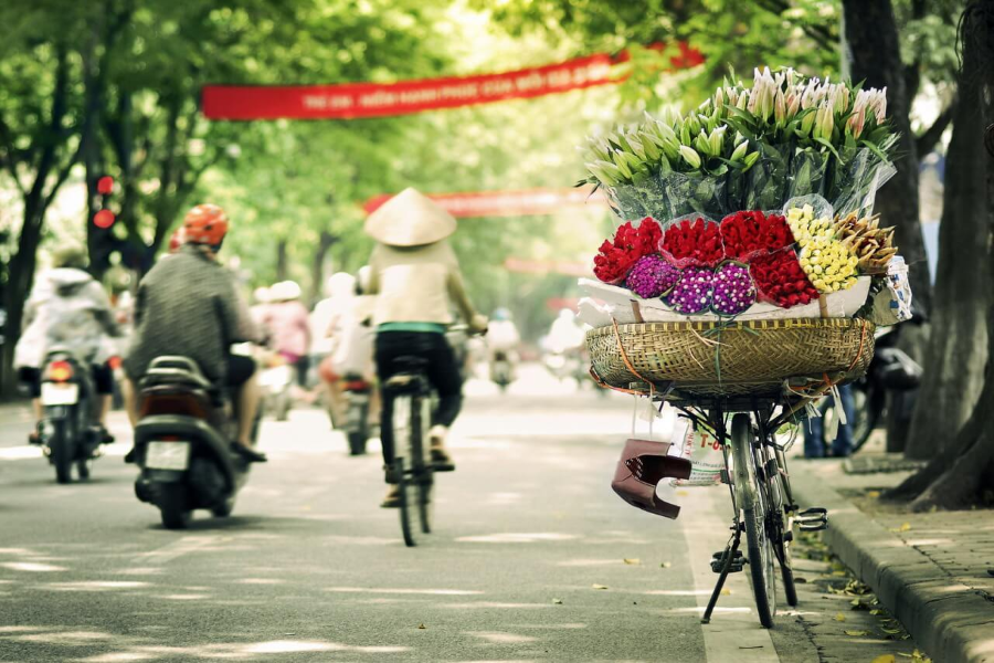 Xốn xang trước vẻ đẹp của mùa thu Hà Nội