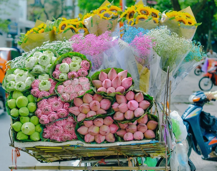 Mùa thu Hà Nội nhẹ nhàng đến mang theo hơi thở dịu mát và những chiếc xe hoa rực rỡ sắc màu