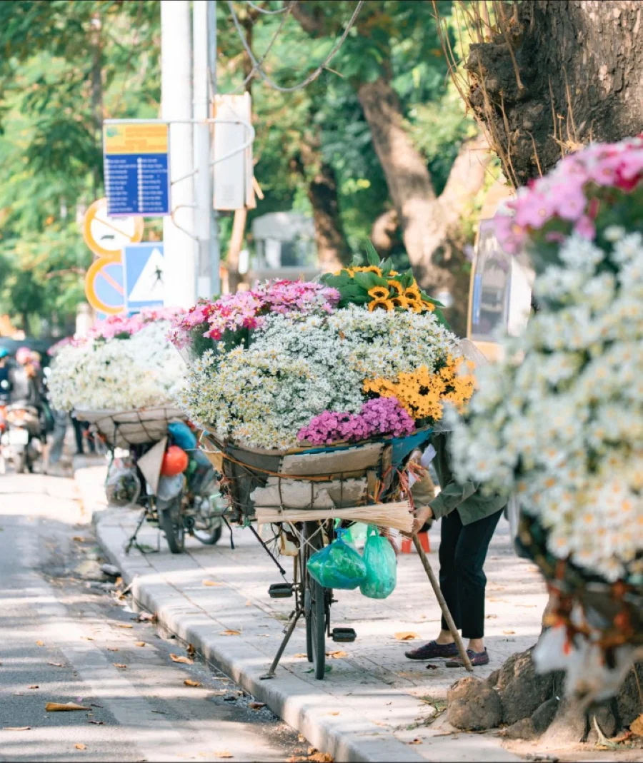 Mùa thu Hà Nội đẹp mê mẩn với dàn xe chở hoa rực sắc màu