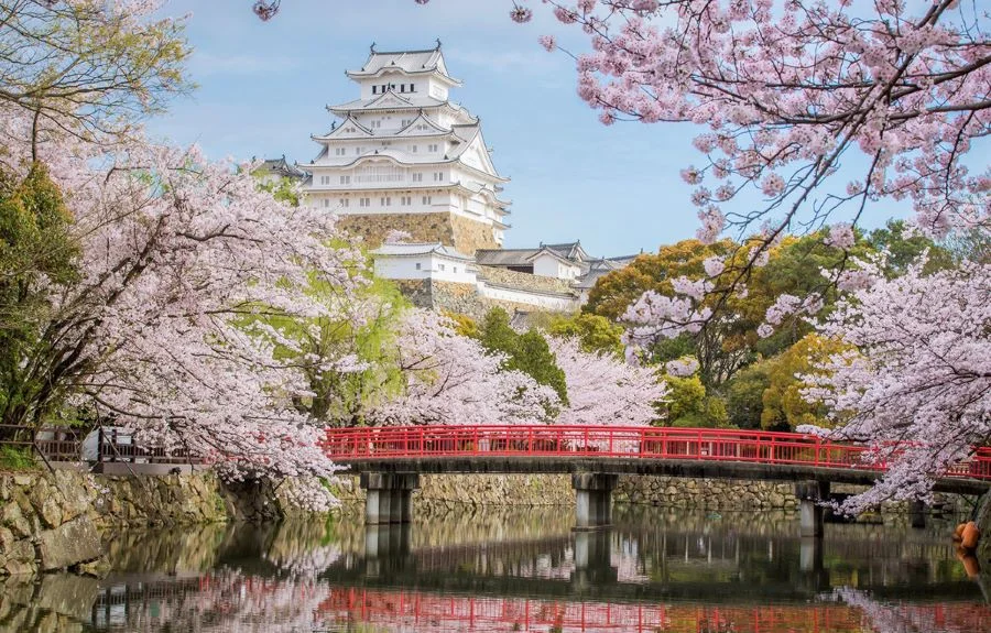 Lâu đài Osaka, điểm du lịch ngắm hoa Anh Đào nổi tiếng Nhật Bản