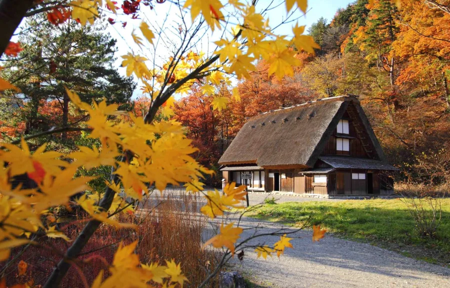 Đến với làng cổ Shirakawago để được đắm chìm trong vẻ đẹp cổ kính của đẩt nước Nhật Bản