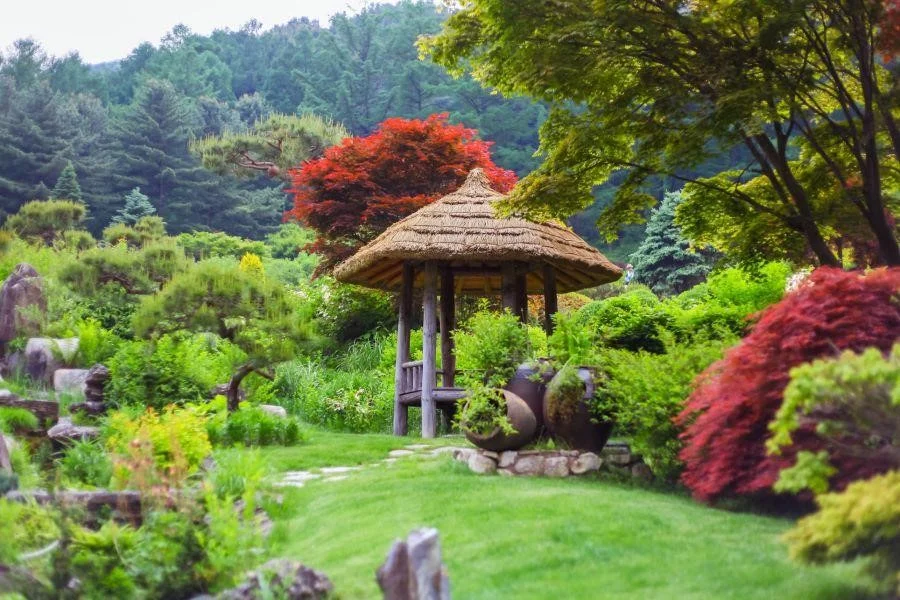 Khám phá Morning Calm - Khu vườn đẹp nhất Hàn Quốc cùng Top Ten Travel
