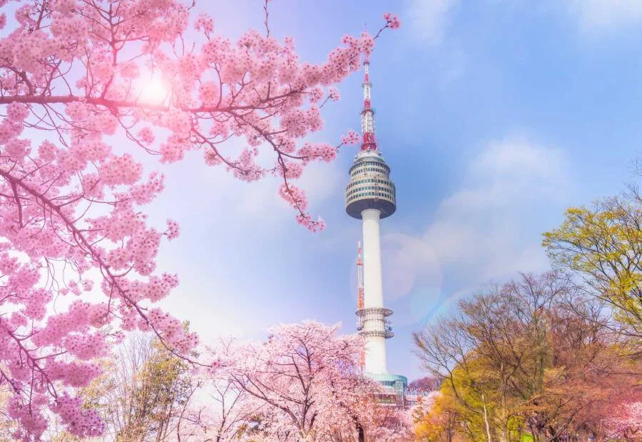 Công viên Namsan mang đến cho các tín đồ du lịch Hàn Quốc cơ hội để tìm về sự bình yên trong tâm hồn