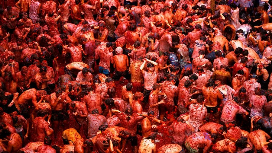 Lễ hội cà chua Tomatina được diễn ra vào ngày thứ 4 cuối cùng trong tháng 8 hằng năm