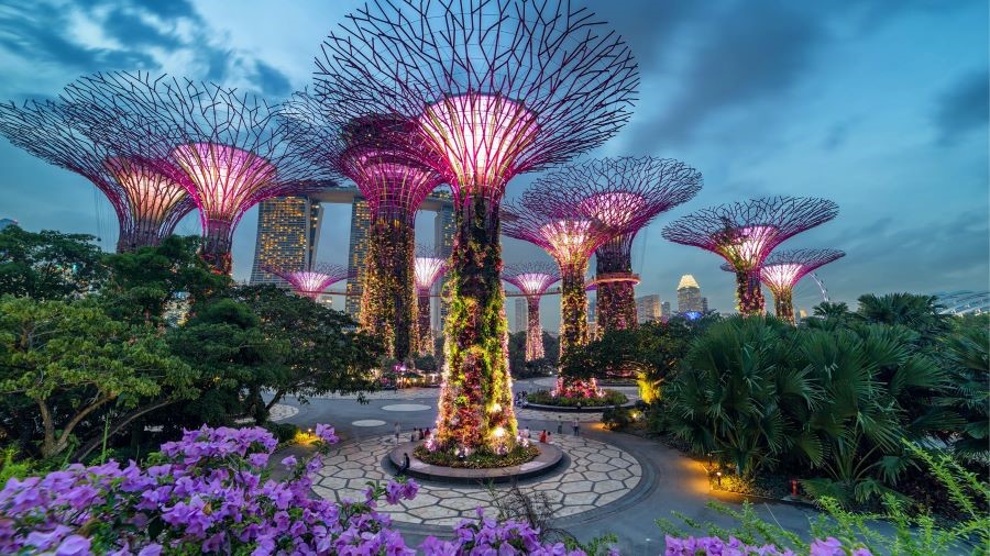 Khám phá vẻ đẹp của Garden by the Bay khi lên đèn