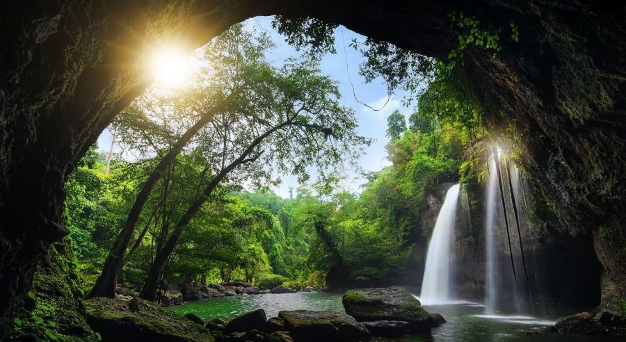 Khao Yai - Nơi sở hữu một hệ động thực vật vô cùng đa dạng