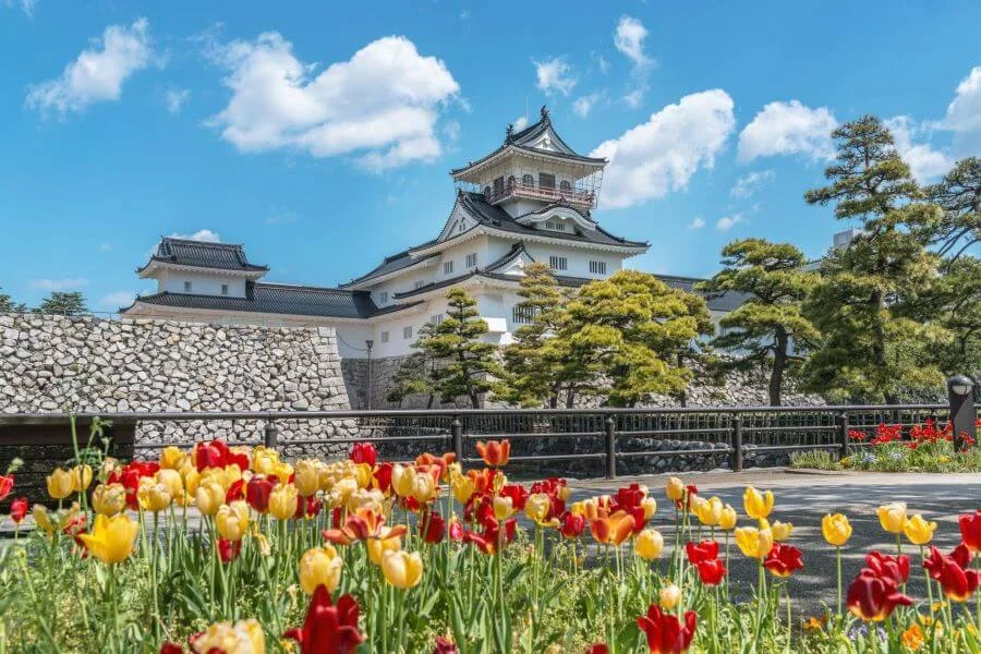 Lâu đài Toyama mang dáng vẻ oai nghiêm và tráng lệ, tái hiện lại vẻ đẹp của một tòa thành cổ xưa