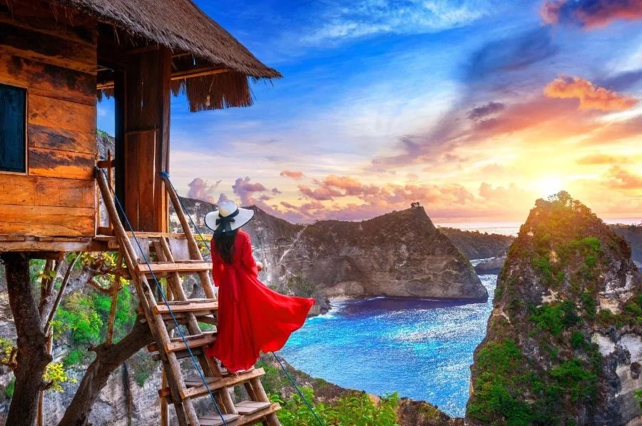 Tree House - những ngôi nhà trên cây với thiết kế cực kỳ ấn tượng