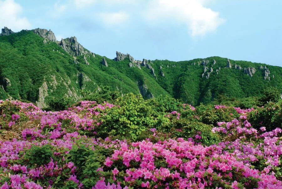 Hallasan hứa hẹn se mang đến cho bạn những trải nghiệm đáng nhớ trong chuyến du lịch Jeju sắp đến của mình