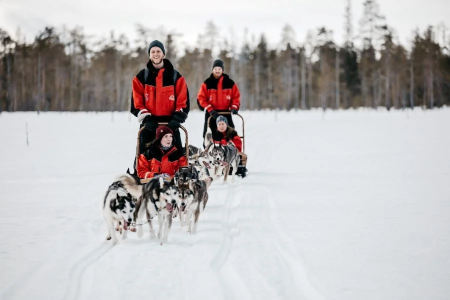 Cưỡi xe trượt tuyết cùng Husky là một trải nghiệm vô cùng đáng nhớ tại Lapland