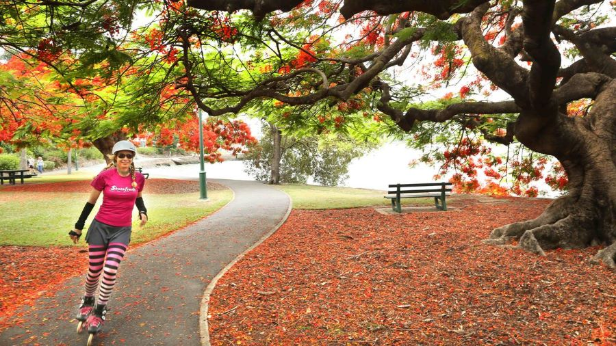 Mỗi mùa mỗi thời điểm Brisbane đều sở hữu những vẻ đẹp riêng khó tả