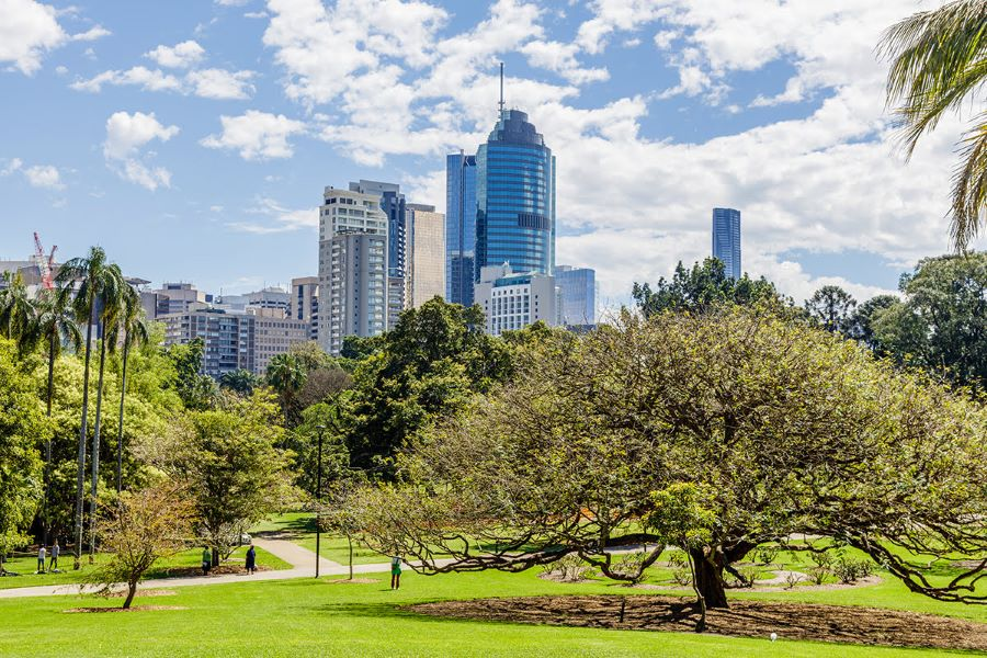 Vườn thực vật City Botanic Gardens - điểm đến có sức hấp dẫn đặc biệt tại Brisbane