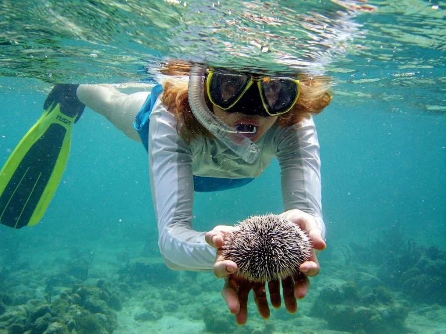 Tham gia lặn biển tại Koh Phi Phi