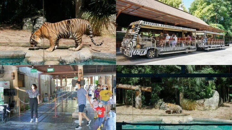 Đặt trước vé tại các địa điểm tham quan để tiết kiệm hơn