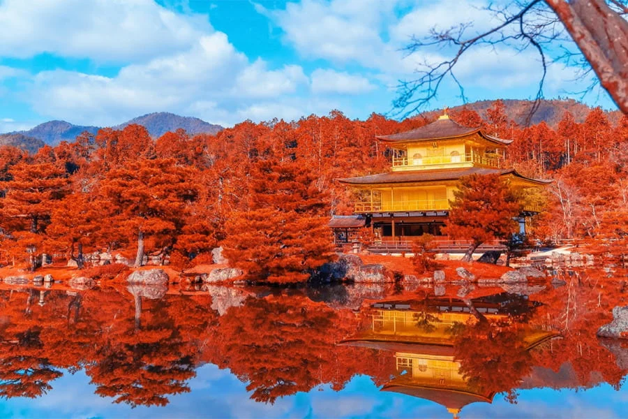 Mùa thu được xem là mùa đẹp nhất để chiêm ngưỡng Kinkakuji