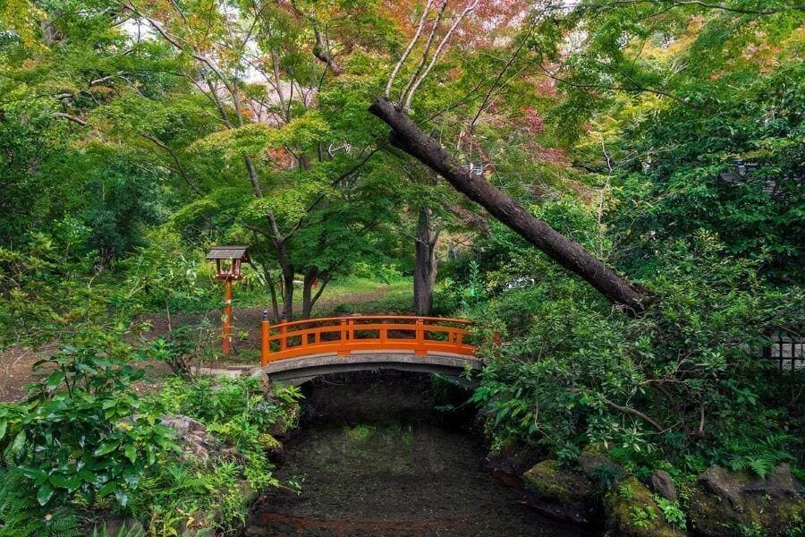 Nằm ở quận Setagaya, Thung lũng Todoroki là một ốc đảo xanh mát, tĩnh lặng