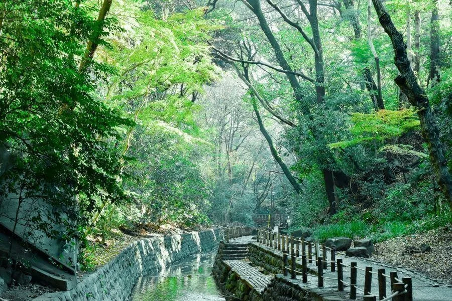 Với chiều dài khoảng 1km, con đường mòn đi bộ xuyên qua thung lũng mang đến một trải nghiệm thư giãn và gần gũi với thiên nhiên