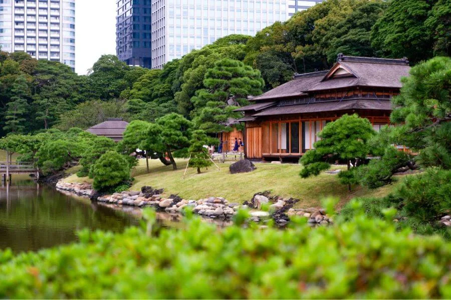 Hama Rikyu là một trong những công viên nổi tiếng và được coi là một trong những công viên đẹp nhất mà bạn không nên bỏ qua khi đi du lịch Tokyo