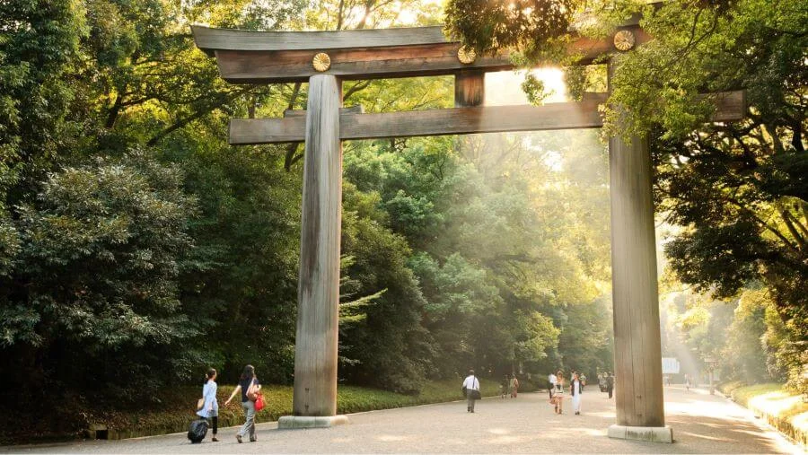 Công viên Yoyogi, một ốc đảo xanh rộng lớn nằm ngay trung tâm Tokyo