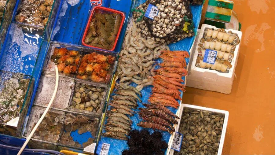 Chợ Noryangjin không chỉ là nơi cung cấp nguồn hải sản dồi dào cho người dân Seoul mà còn là điểm thu hút khách du lịch trong và ngoài nước