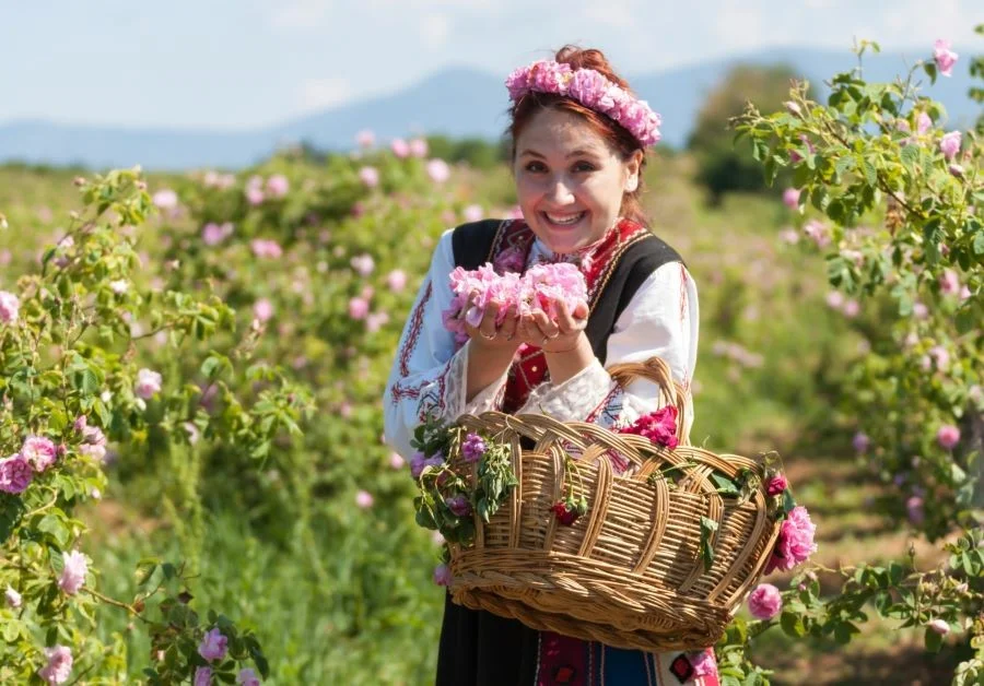 Được ẩn mình trong khu vườn ngập tràn hoa hồng là một cảm giác vô cùng lãng mạn
