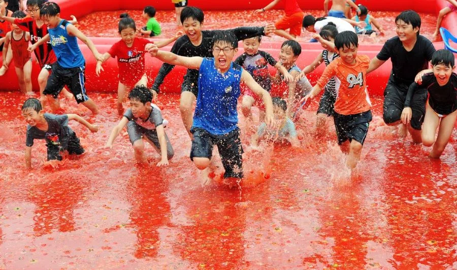 Lễ hội cà chua Gwangju Toechon với những hoạt động đặc sắc “có một không hai” 