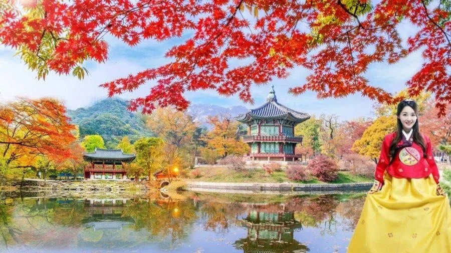 Mùa thu Hàn Quốc là một thời điểm vàng để ngắm một phong cảnh lá đỏ ngợp trời