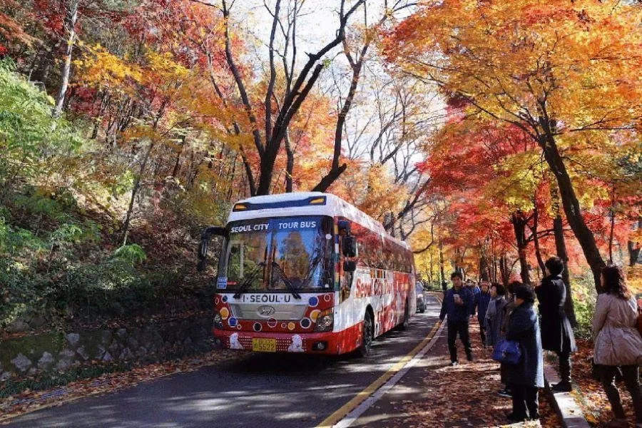 Đi xe bus tại Nami