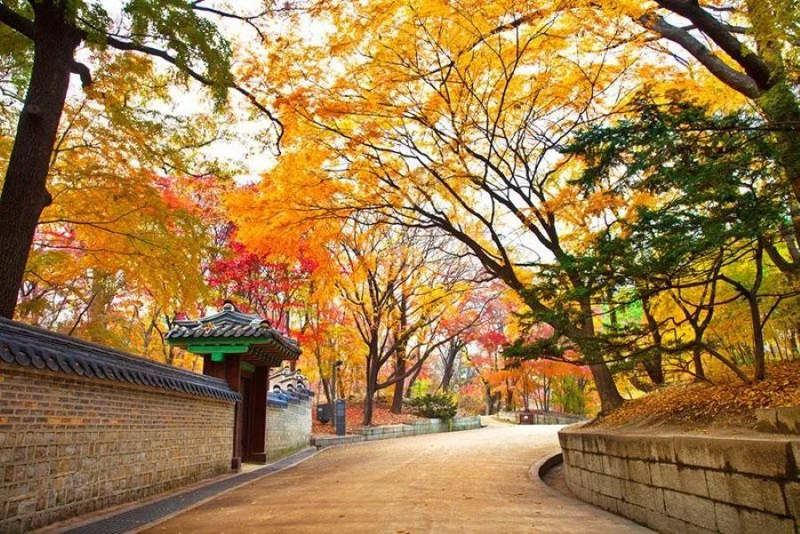 Đường Hyeonchungsa được săn đón vào mùa thu
