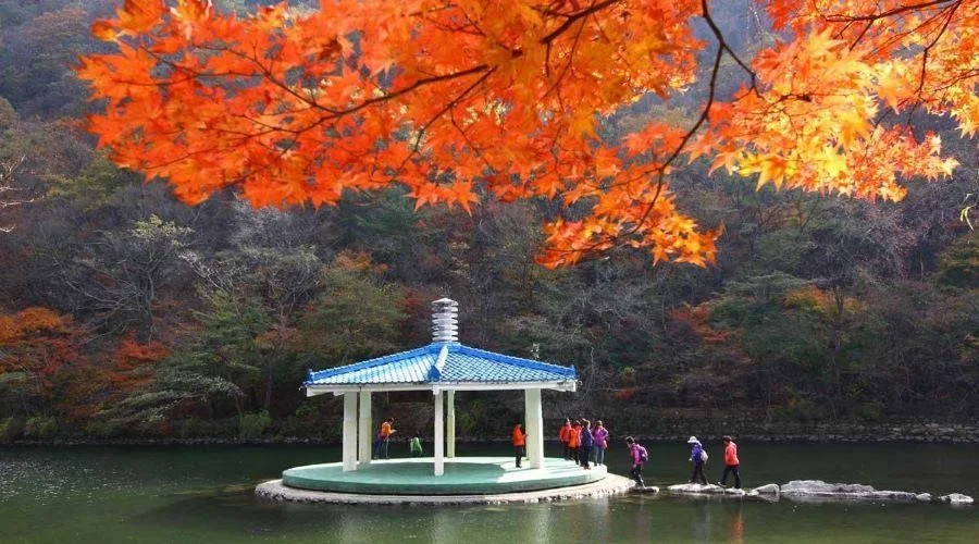 Núi Naejangsan thiên đường để chụp ảnh