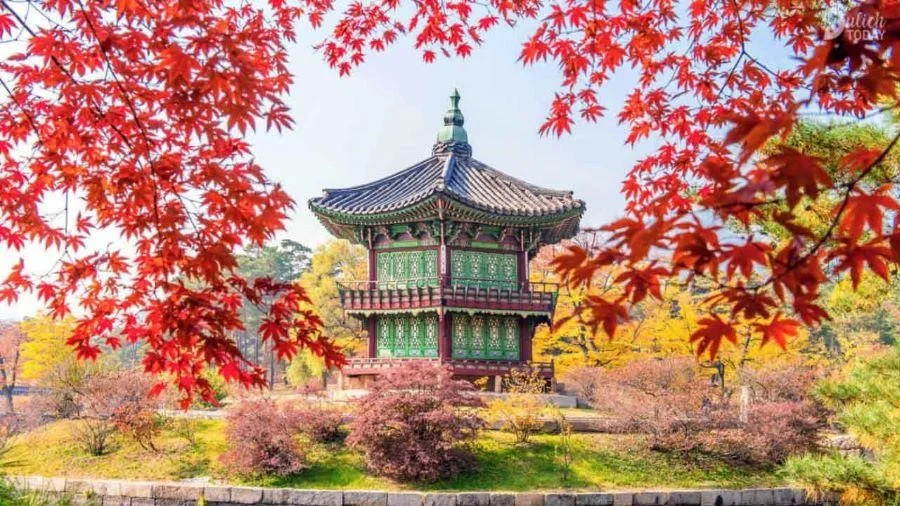 Những địa điểm cực kì đẹp và lý tưởng để ngắm mùa thu lá đỏ Hàn Quốc