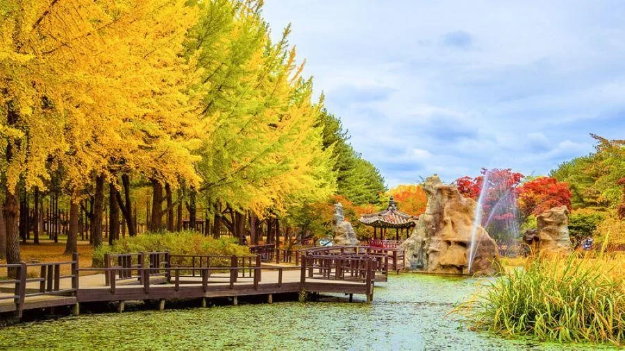 Nami xinh đẹp và quyến rũ nhất vào mùa thu