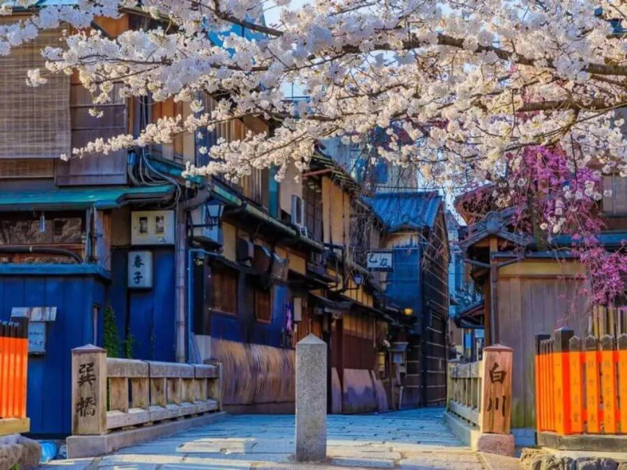 Shinbashi Dori là một trong những con phố đẹp nhất và được chụp ảnh nhiều nhất ở Kyoto