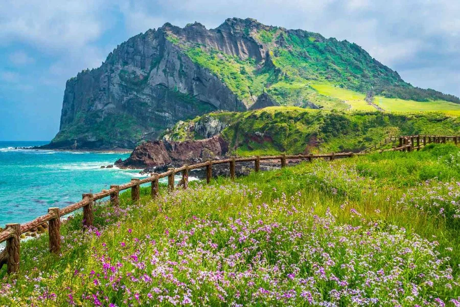 Đảo Jeju - Viên ngọc bích giữa lòng Hàn Quốc