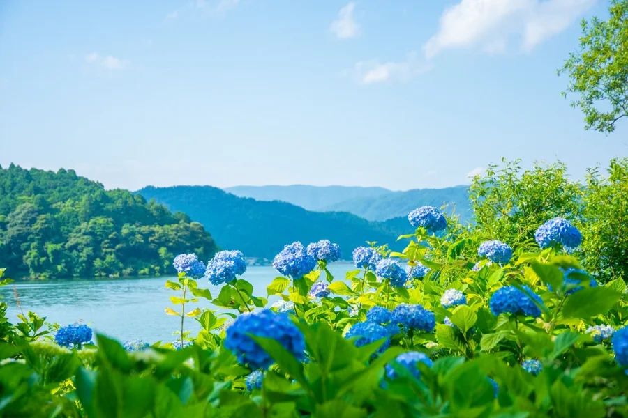 Takahata Fudoson Kongoji không chỉ lưu giữ những giá trị lịch sử, văn hóa lâu đời mà còn sở hữu khung cảnh thiên nhiên tuyệt đẹp