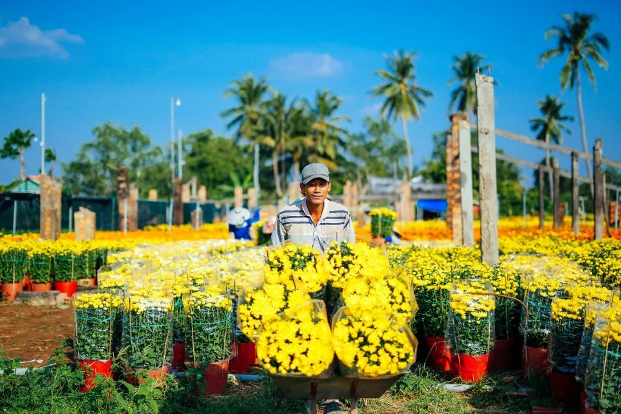 Vẻ đẹp của Làng Hoa Kiểng Cái Mơn