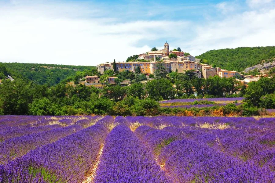 Dừng chân tại Sault, du khách sẽ được thưởng thức bữa tiệc Lavender thơ mộng và lãng mạn