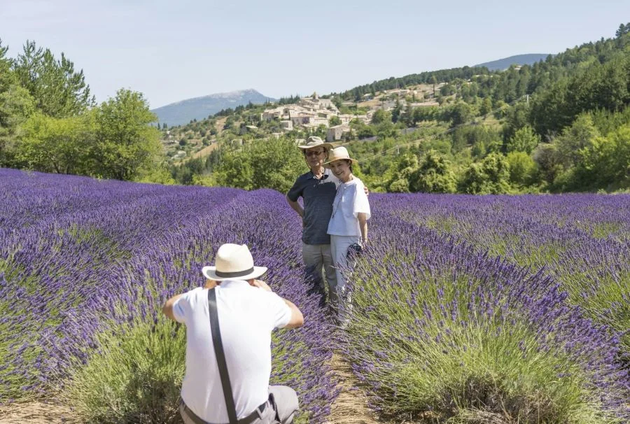 Dừng chân tại Sault, du khách sẽ được chiêm ngưỡng vẻ đẹp tựa tranh vẽ của loài hoa Lavender nổi tiếng 