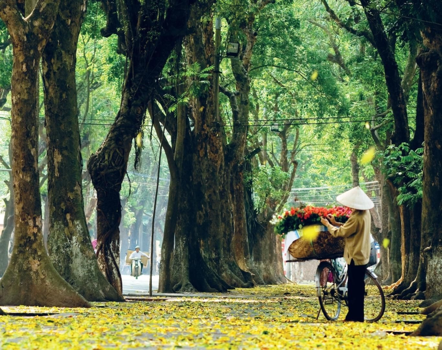 Những khoảnh khắc tình như thu Hà Nội
