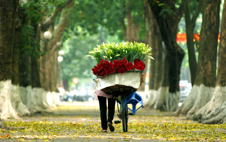 Xe hàng hoa đẹp ngỡ ngàng giữa phố phường Hà Nội