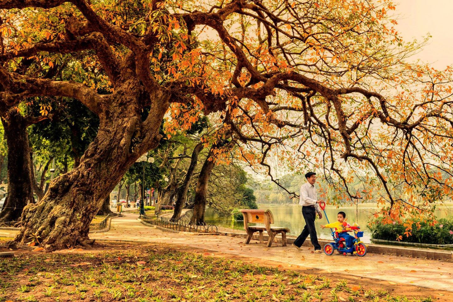 Hà Nội mùa thu, mùa của thương nhớ