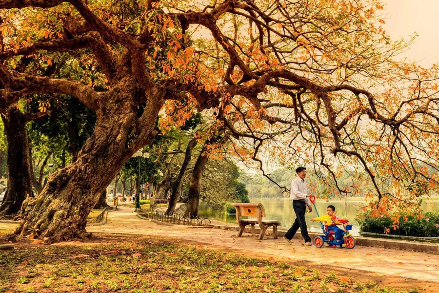 Hà Nội mùa thu, mùa của thương nhớ