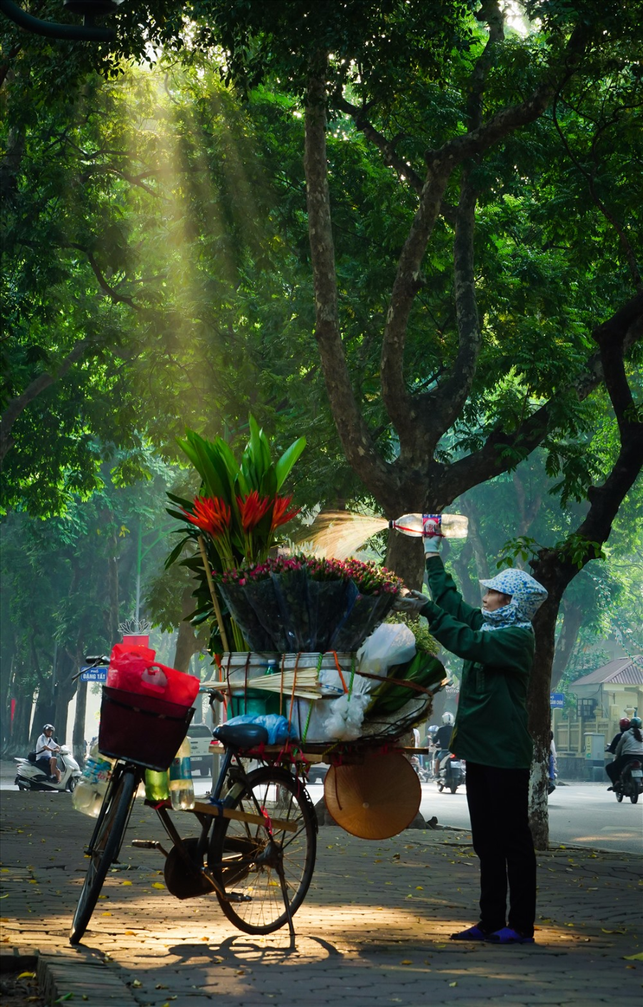 Mùa thu về trên những con đường đẹp nhất Hà Nội