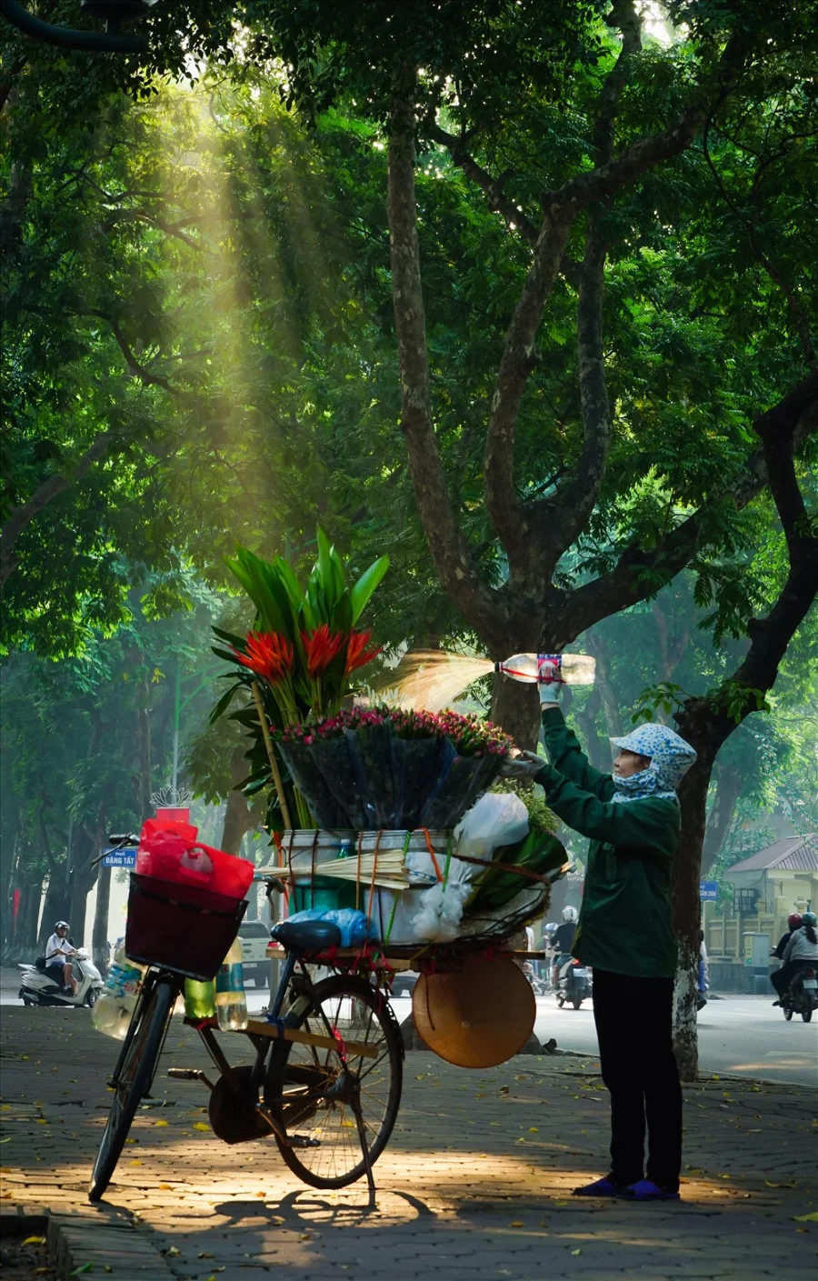 Mùa thu về trên những con đường đẹp nhất Hà Nội
