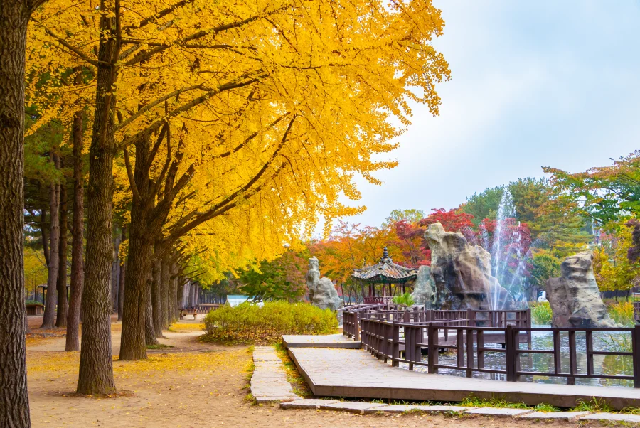Khám phá khung cảnh nên thơ trên đảo Nami