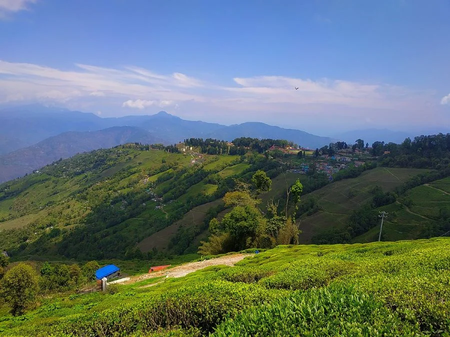 Màu xanh tươi mát tại thành phố Darjeeling xinh đẹp của Ấn Độ
