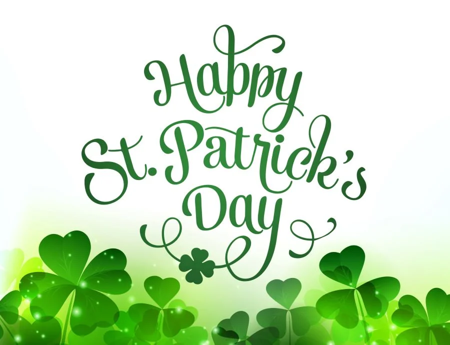 Cỏ ba lá - biểu tượng quan trọng trong ngày lễ Thánh Patrick nói riêng và văn hóa Ireland nói chung