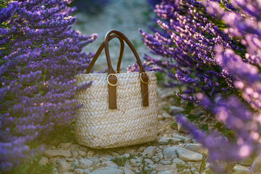 Những mùa hoa Lavender tại Pháp khiến nhiều du khách thích thú và không thể rời mắt